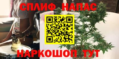 прущие грибы Кулебаки