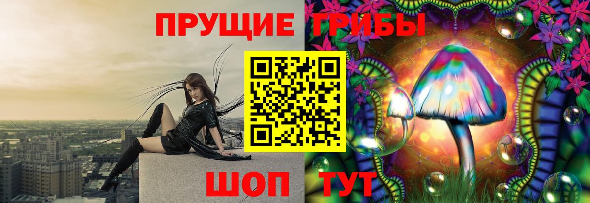 Красногорск  Псилоцибиновые грибы Magic Shrooms  Галлюциногенные грибы ЛСД  Вход с VPN 